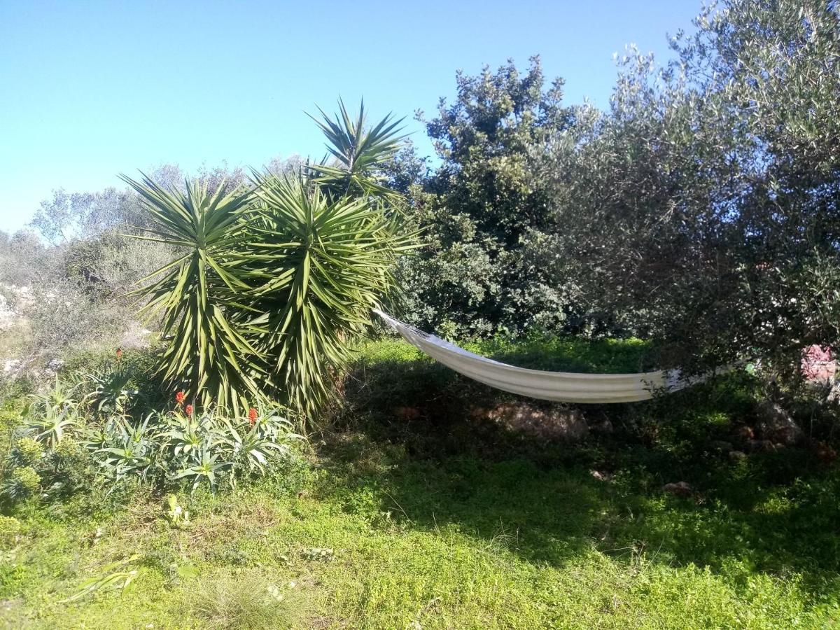 Manolo S Olive Farm, Apartment With Seaview Khania Eksteriør bilde