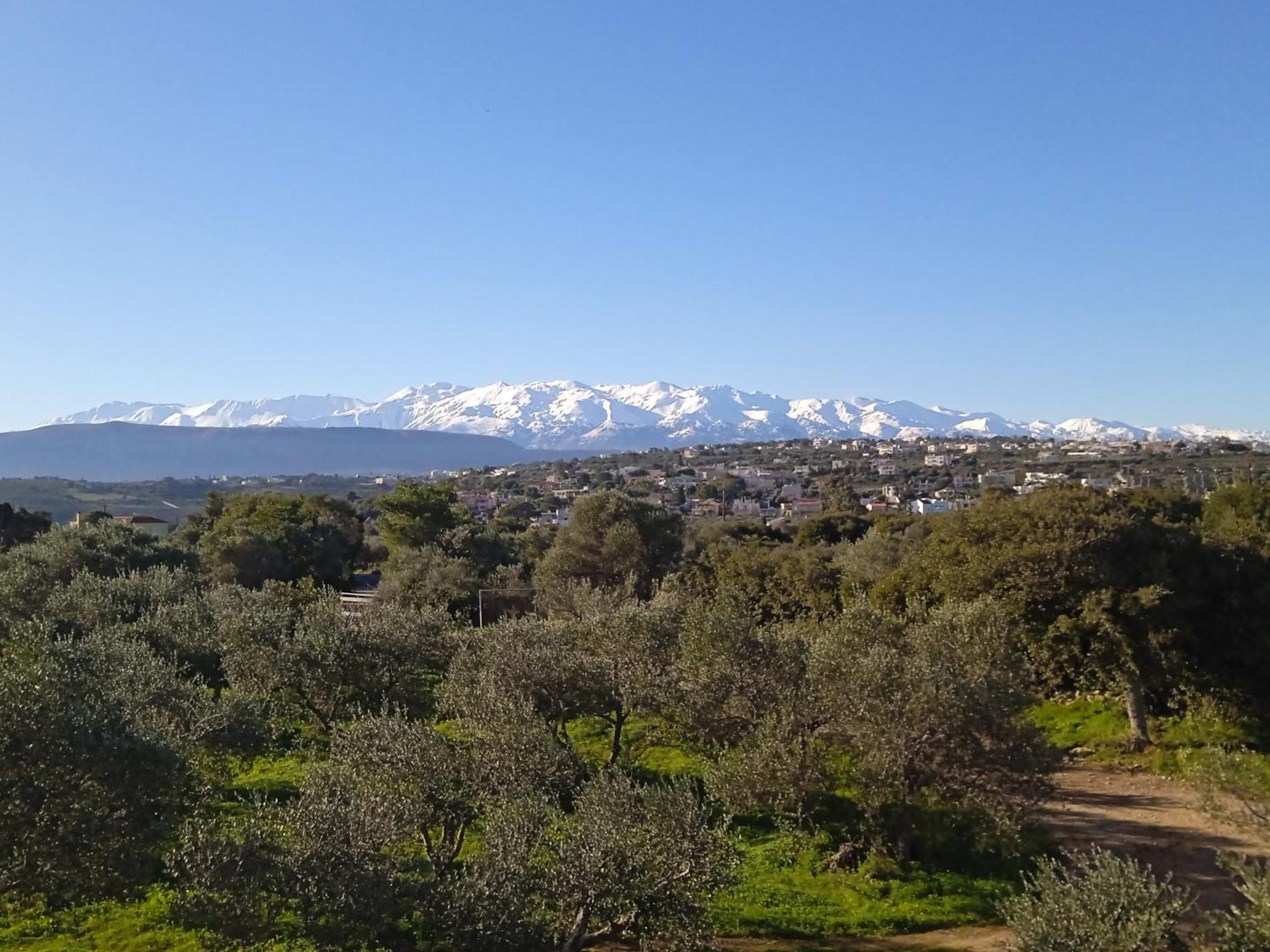 Manolo S Olive Farm, Apartment With Seaview Khania Eksteriør bilde